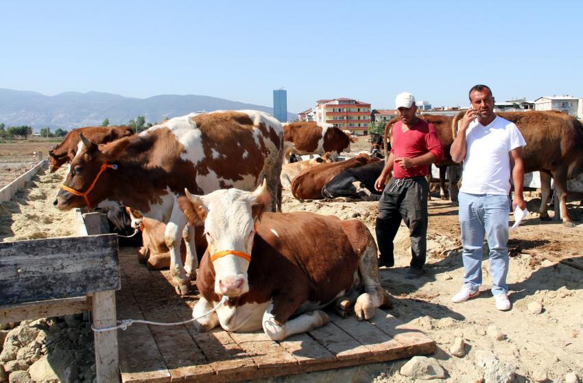 Bursa'da kurban heyecanı başladı