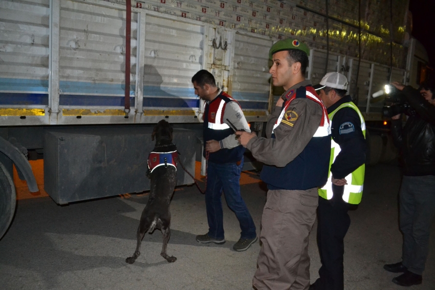 Bursa'da jandarma kuş uçurtmuyor