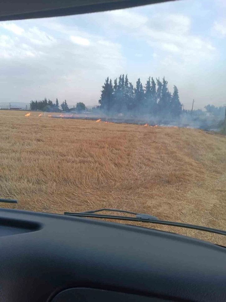 Kumlu’da anız yangını
