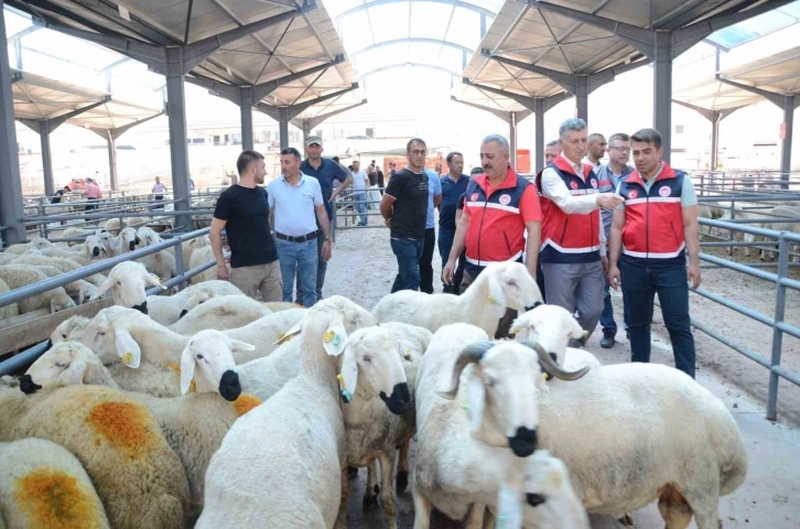 Kurban satış yerlerinde denetimler sürüyor
