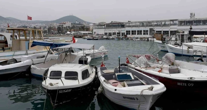 Kuşadası Belediye Başkan Yardımcısı Atak: "Balıkçılar Kahvesi ile ilgili paylaşımlar gerçekleri yansıtmıyor"
