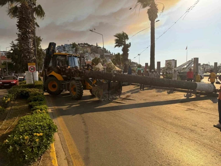 Kuşadası’nda devrilen ağaç ekiplerin müdahalesiyle kaldırıldı
