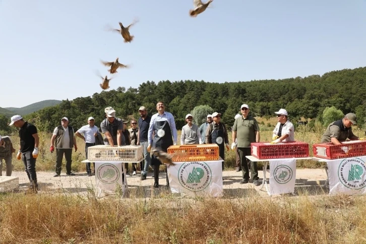 Kütahya Türkmen Dağı’na 200 keklik salındı
