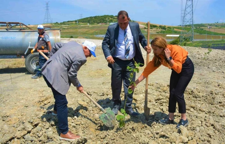 Lapseki’de ağaçlandırma çalışması
