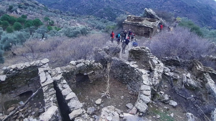 Latmos’ta zeytincilik yapılan yerleşim yerleri harabeye dönüyor
