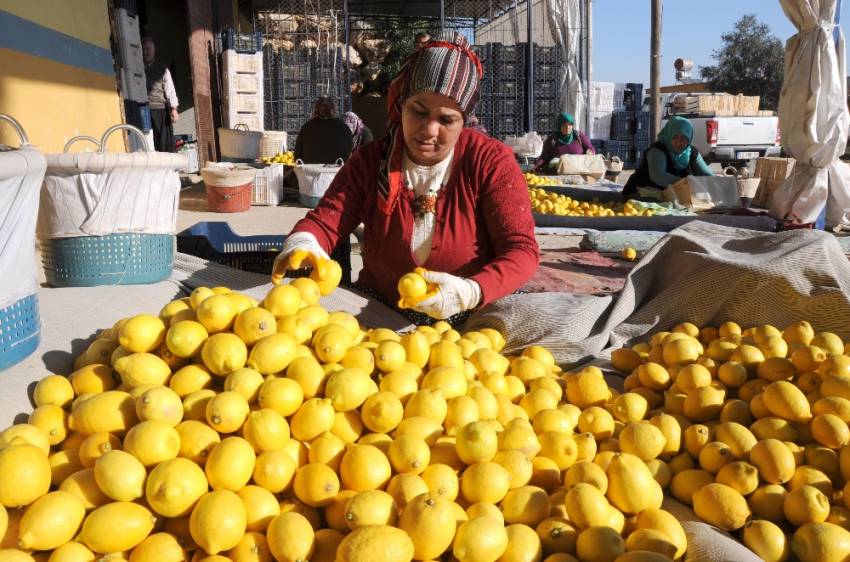 Çiftçinin yüzünü güldüren artış