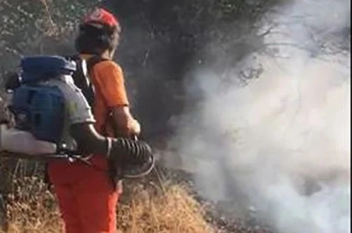 Lice’de örtü yangını 4 saat sonra kontrol altına alındı