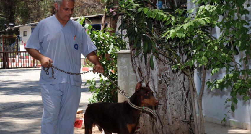 Ölüme terk edilmişti...Lucky'nin inanılmaz değişimi 