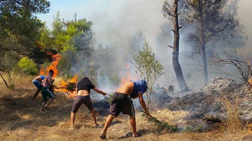 Manavgat ormanı alev içinde kaldı