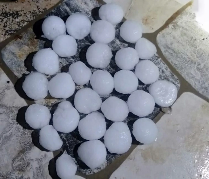 Malatya’da dolu yağışı kayısı bahçelerine zarar verdi
