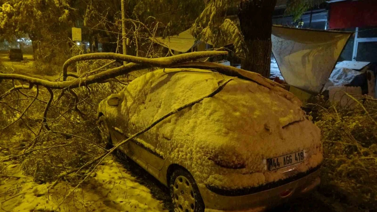 Malatya’da kardan kırılan ağaç dalları araçların üzerine devrildi
