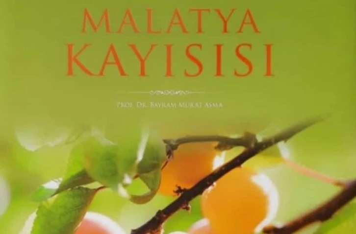 Malatya kayısı isimli kitap ödül getirdi
