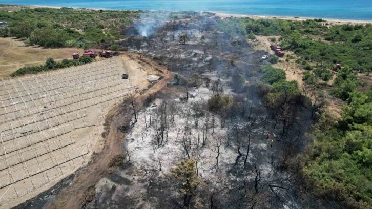 Manavgat’taki orman yangınında ihmal iddiası
