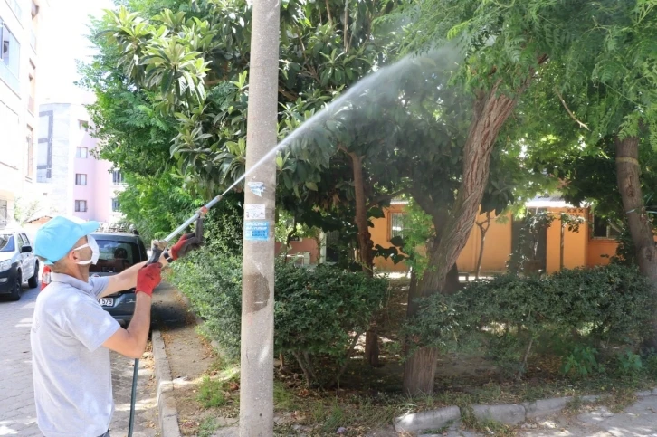 Manisa Büyükşehir’den Turgutlu’da ilaçlama çalışmaları
