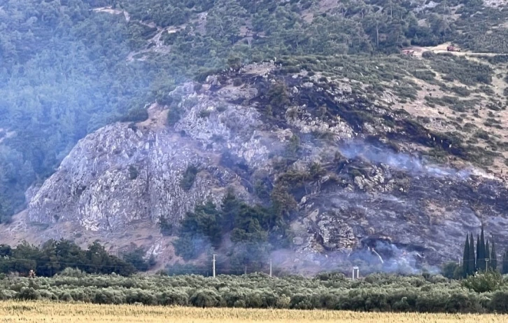 Manisa’da orman yangını bir saatte kontrol altına aldı
