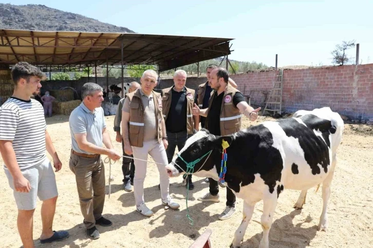 Manisa’da yangın felaketinin yaraları sarılıyor
