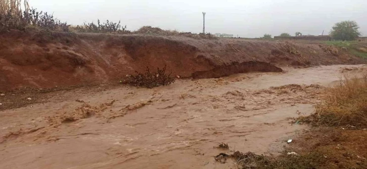 Mardin’de şiddetli yağmurda dereler taştı
