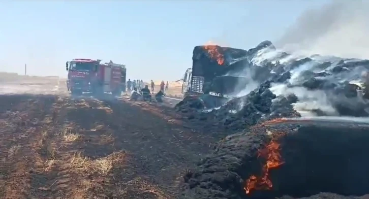 Mardin’de tır ve tonlarca saman balyası cayır cayır yandı
