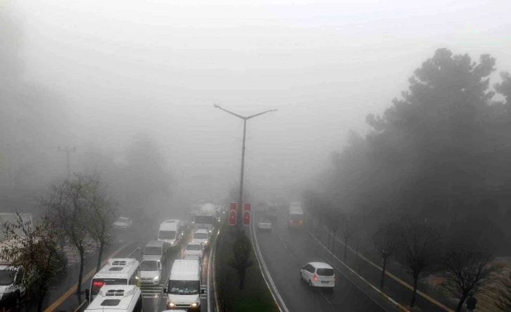 Mardin’de yoğun sis etkili oldu
