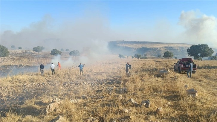 Mardin'de çıkan orman ve örtü yangınına müdahale ediliyor