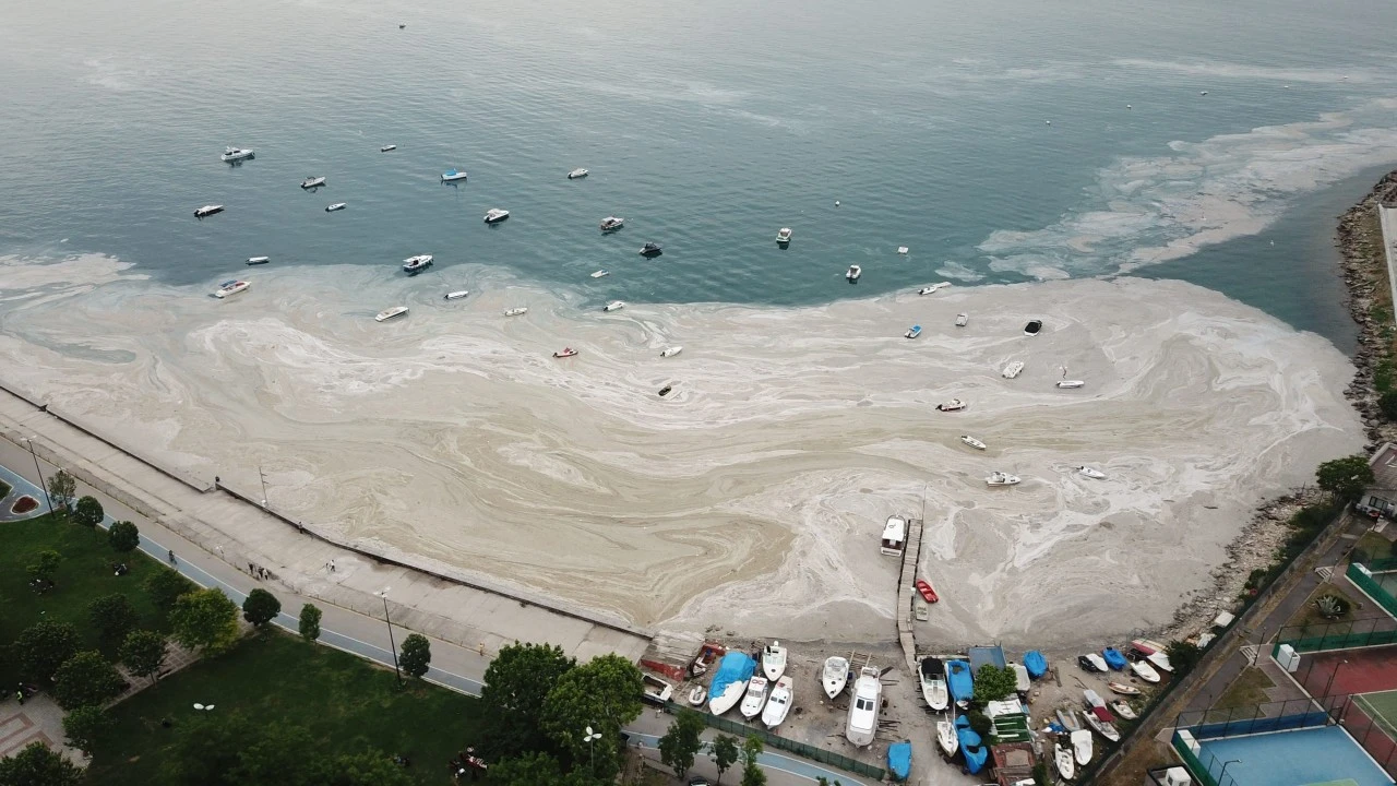 Marmara Denizi’nde müsilajı önlemek için 700 tesis inceleme altına alındı