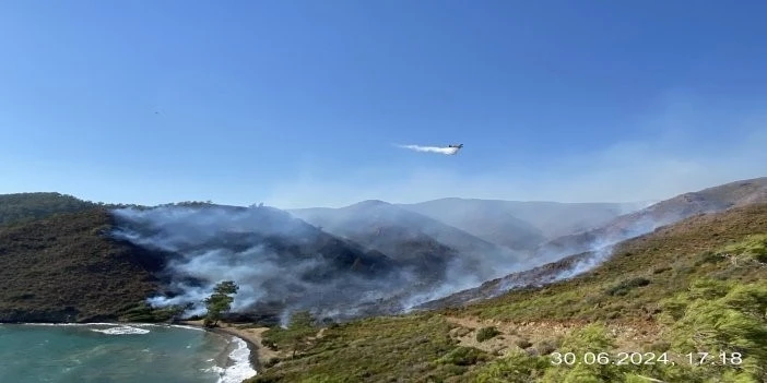 Marmaris Bördübet  yangınında üç kişi gözaltına alındı
