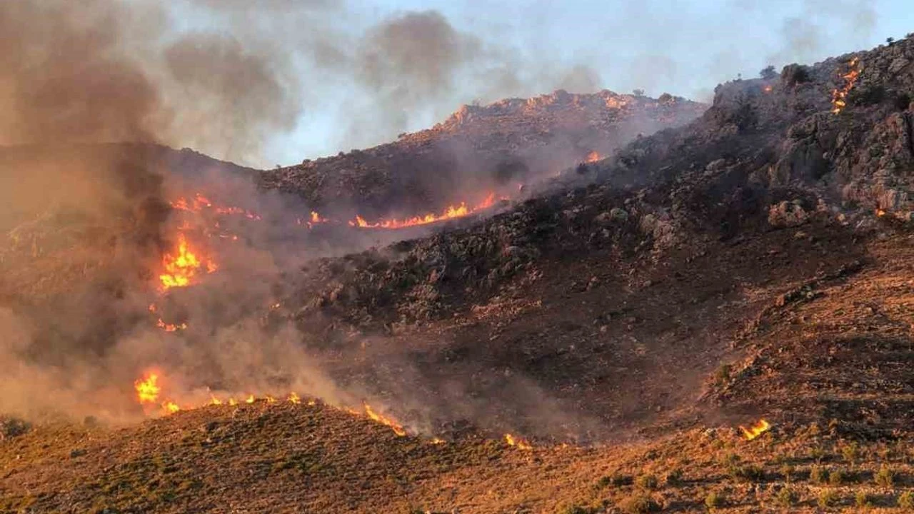 Marmaris’te makilik yangını