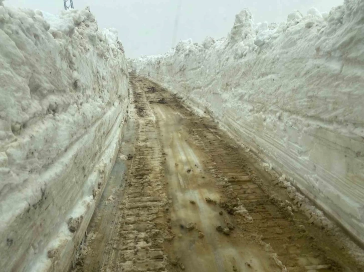 Mayıs ayında 5 metreyi bulan karda yol açma çalışması sürüyor
