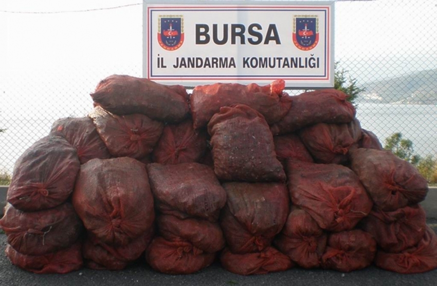 Bursa’da midye operasyonu