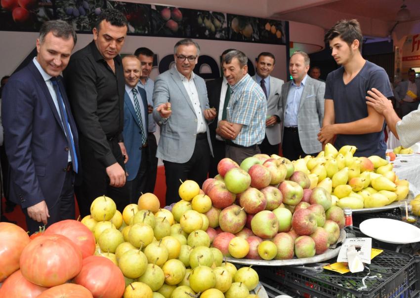 İnegöl'de meyvecilik için arazi alanı genişleyecek