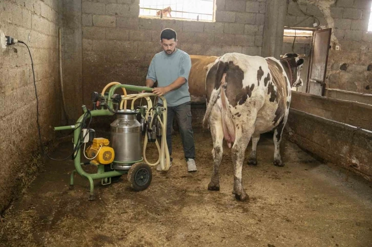 Mersin Büyükşehir Belediyesinden süt üreticilerine destek
