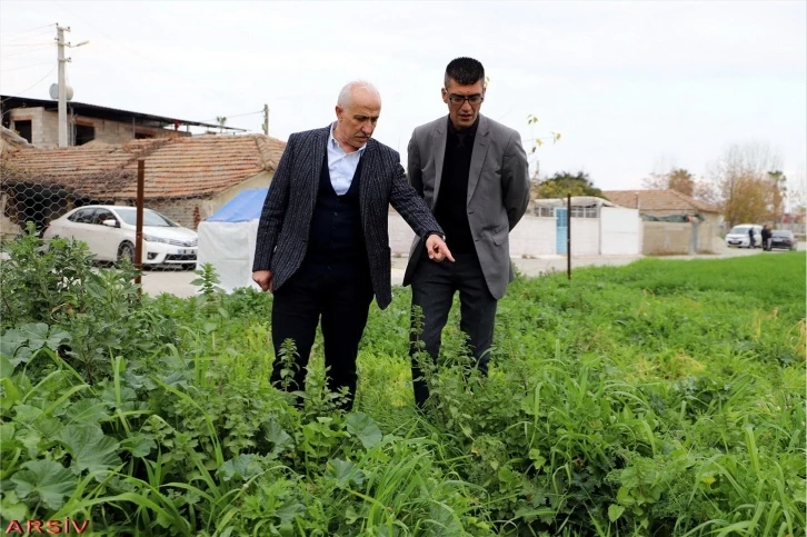 Mersin’de ata yadigarı karakılçık tohumunun üretiminden büyük verim elde edildi
