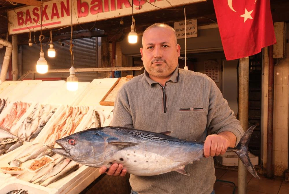 18 kilogram ağırlığındaki torik bin 500 liradan alıcı buldu