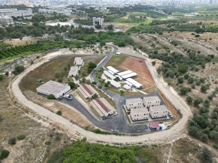 Mersin’de sokak hayvanları için 15 bin metrekarelik bakımevi yapıldı
