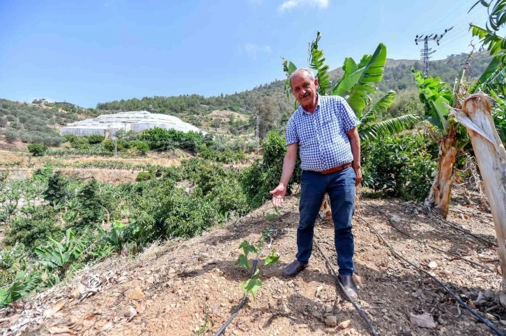 Mersin’de üreticilere passiflora fidesi desteği
