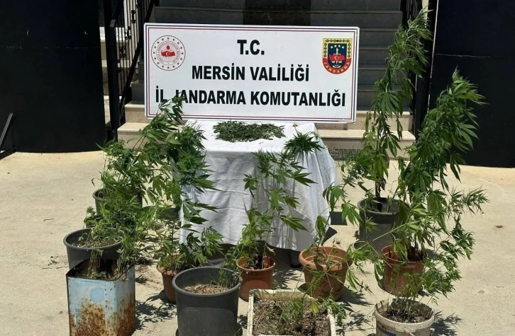 Mersin’de uyuşturucu operasyonu: 2 kişi yakalandı
