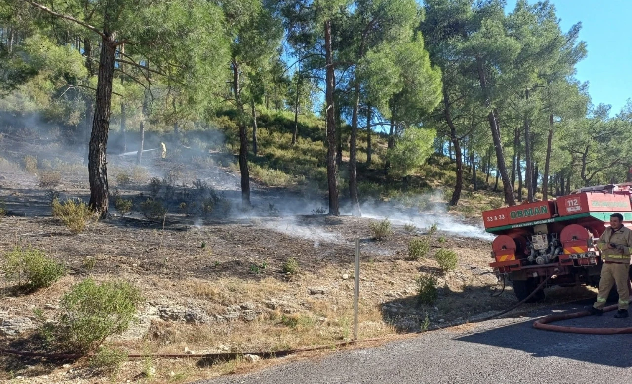 Mersin’de vadide çıkan orman yangını, büyümeden söndürüldü
