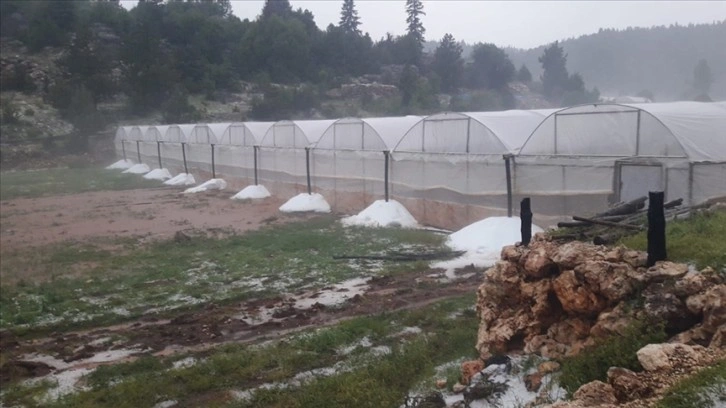 Mersin'de sağanak tarım alanlarında hasara neden oldu