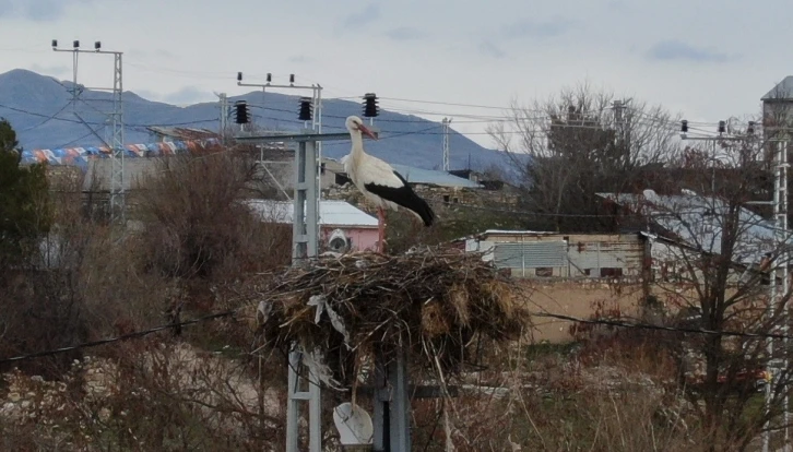 Mesken tuttukları köye bu yıl da geldiler
