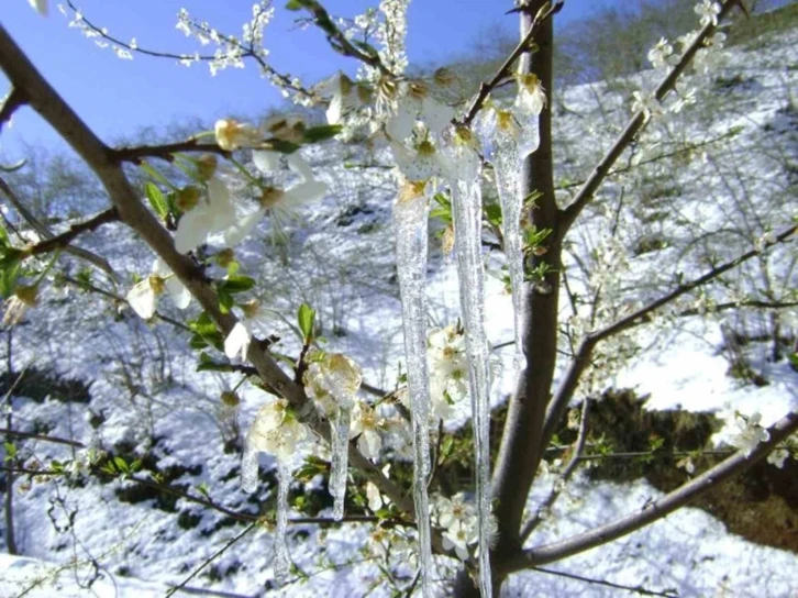 Meteorolojinin zirai don uyarısı sürüyor
