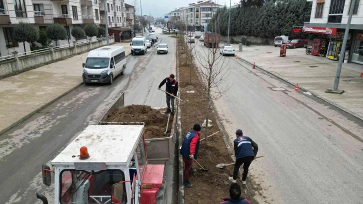 Milyonlarca çiçek diktiler
