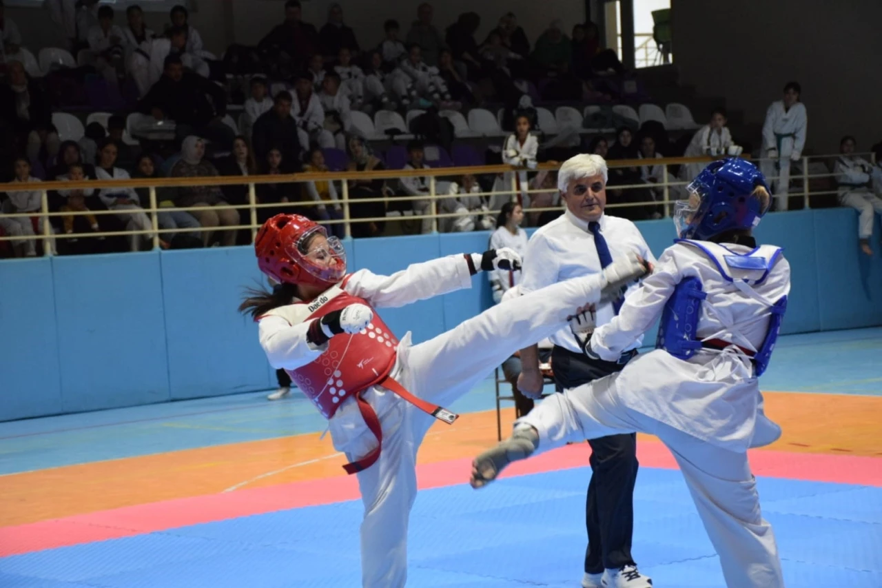 Minikler ve Yıldızlar Taekwondo Cumhuriyet Kupası Müsabakaları tamamlandı
