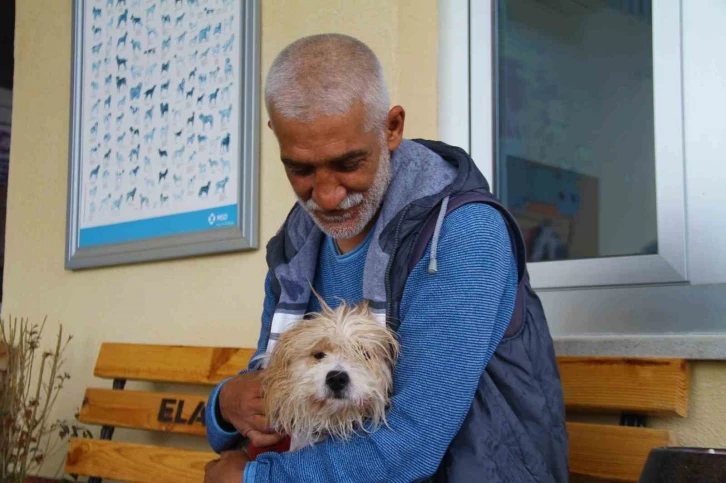 Muğla’da çalınan köpek, çipi sayesinde Elazığ’da bulunarak sahibine teslim edildi
