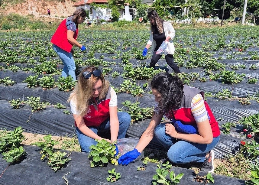 Muğla’da pestisit denetimleriyle sağlık ve çevre güvencesi
