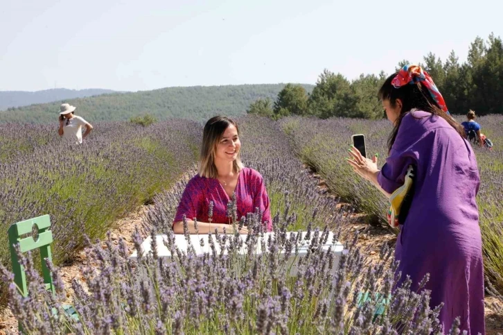 Muğla’nın ‘Mor’ bahçesine ziyaretçi akını
