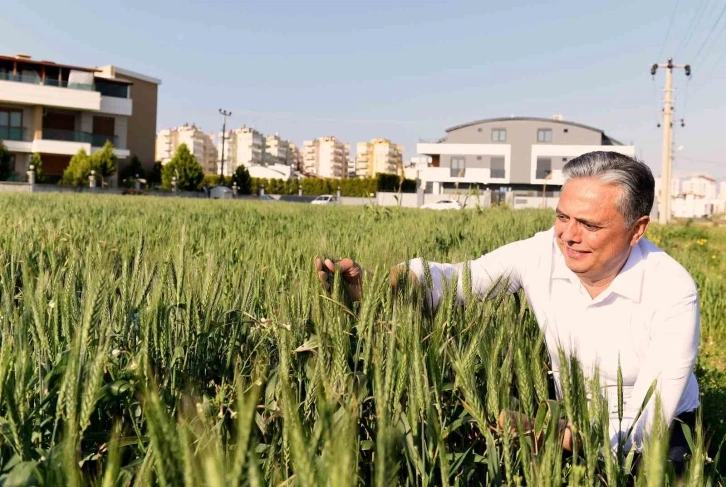 Muratpaşa Gıda Politika Rehberi geliyor
