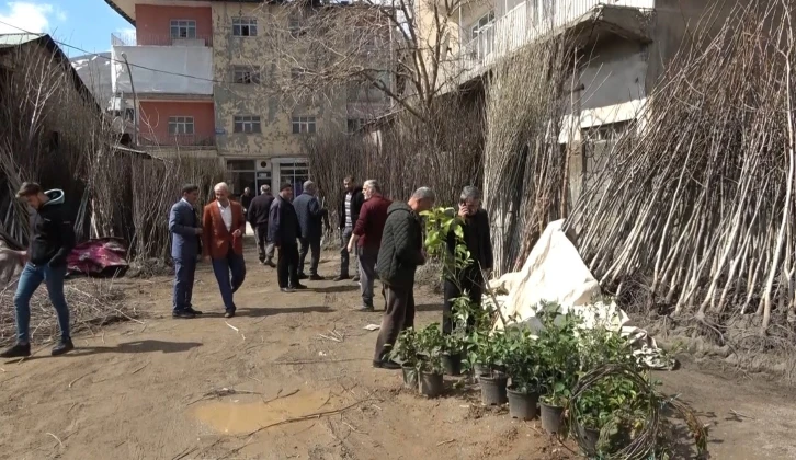 Muş’ta fidan satışları başladı
