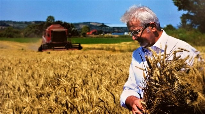 Nilüferde tarımsal faaliyetlerin merkezi 