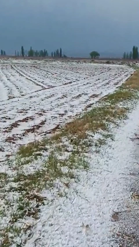 Niğde’de dolu yağışı etkili oldu
