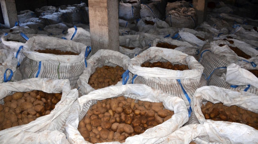 Tonlarca patates depoda kaldı